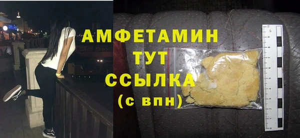 индика Новокубанск