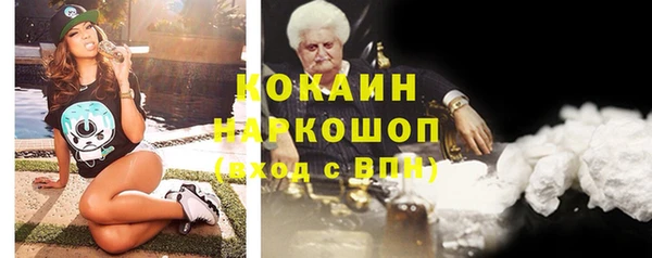 прущие крисы Новозыбков