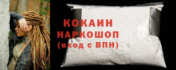 индика Новокубанск