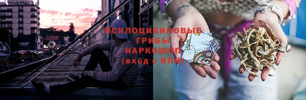 индика Новокубанск