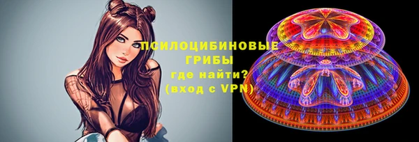 индика Новокубанск