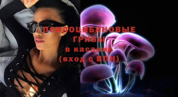 индика Новокубанск