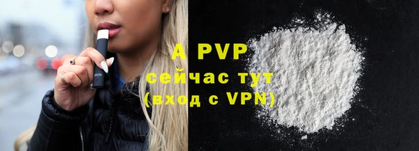 индика Новокубанск