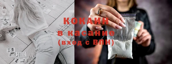 прущие крисы Новозыбков
