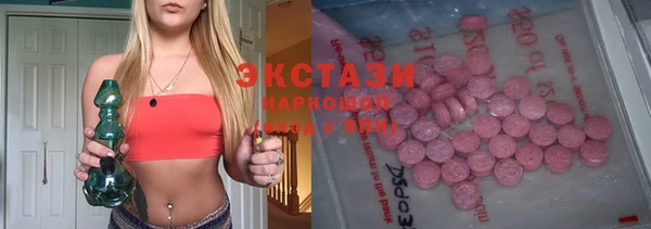 индика Новокубанск