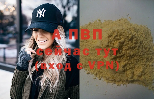 прущие крисы Новозыбков