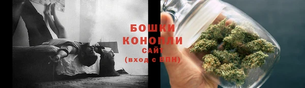 индика Новокубанск
