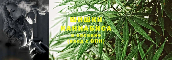 индика Новокубанск