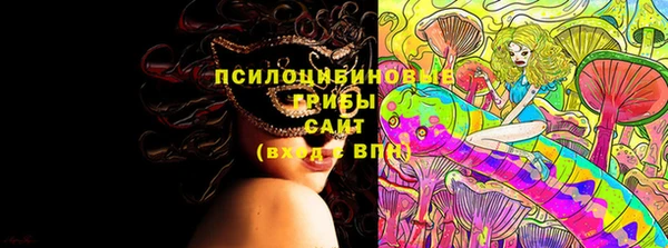 прущие крисы Новозыбков