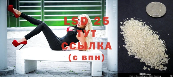 индика Новокубанск