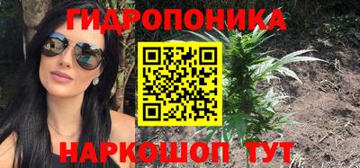 ГАЛЛЮЦИНОГЕННЫЕ ГРИБЫ Канаш