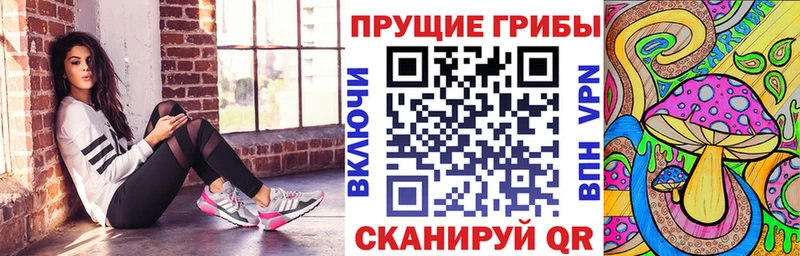 Псилоцибиновые грибы мицелий  хочу   Конаково 