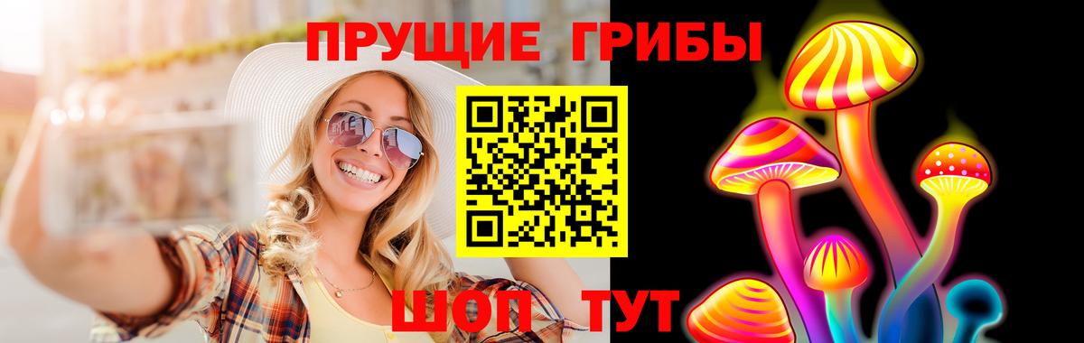 Конаково  Псилоцибиновые грибы Psilocybe  Вход с VPN 
