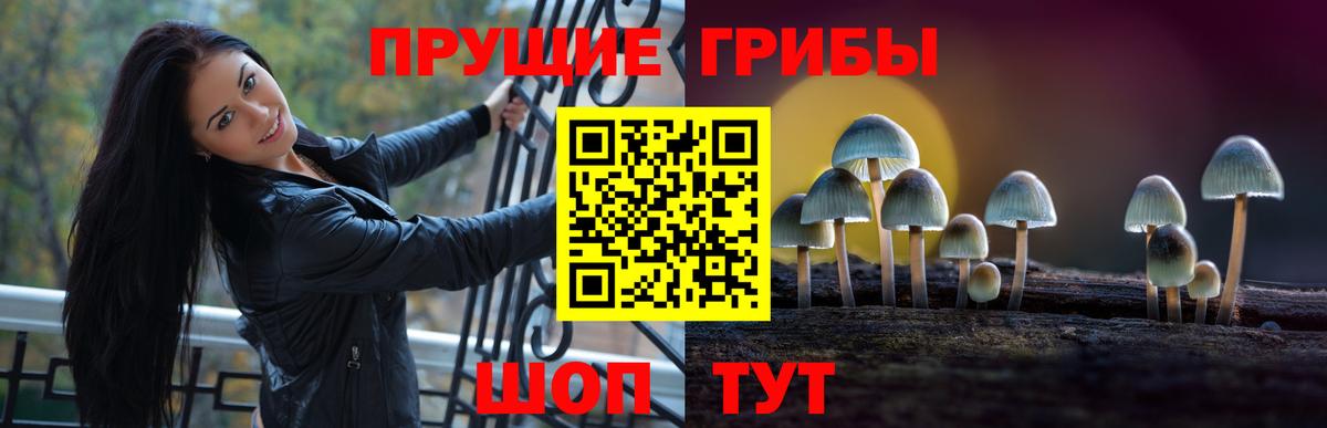 Галлюциногенные грибы Magic Shrooms  где купить наркотик  Псилоцибиновые грибы Psilocybe  Конаково 